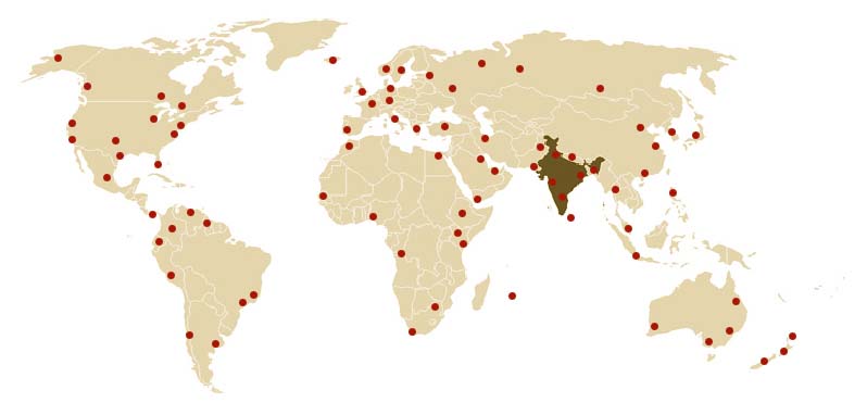 International Network 